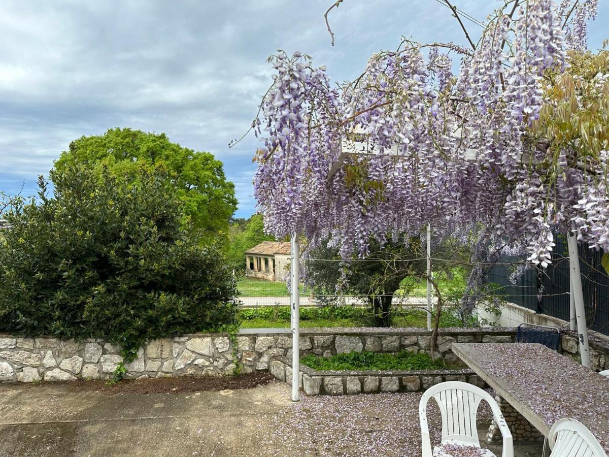 Vala Apartments Rovinj Zewnętrze zdjęcie